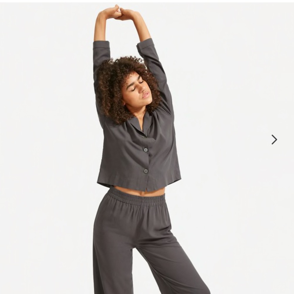 ISO Everlane washable silk pajamas in Pewter